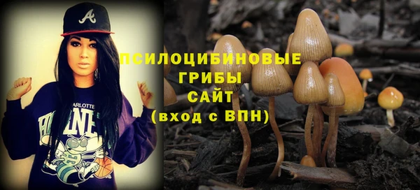 прущий лед Няндома