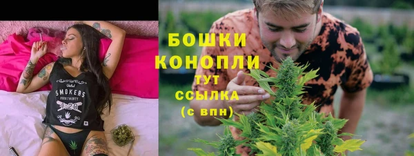 2c-b Богородск