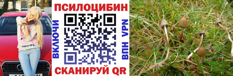 Галлюциногенные грибы мухоморы  Вытегра 
